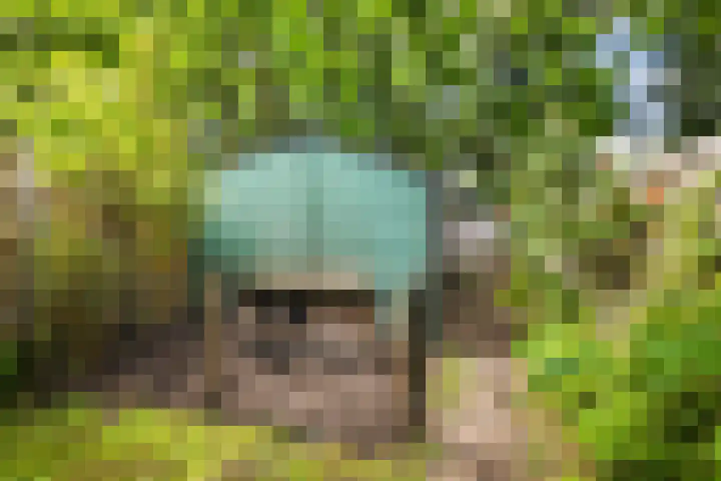 Roemer Visscherlaan 27 Zeist thumbnail 29