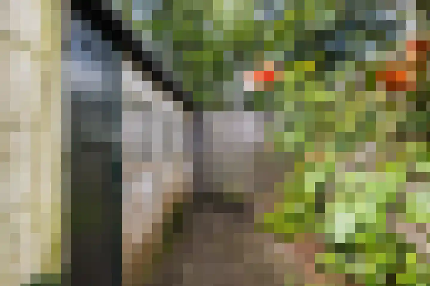 Roemer Visscherlaan 27 Zeist thumbnail 30