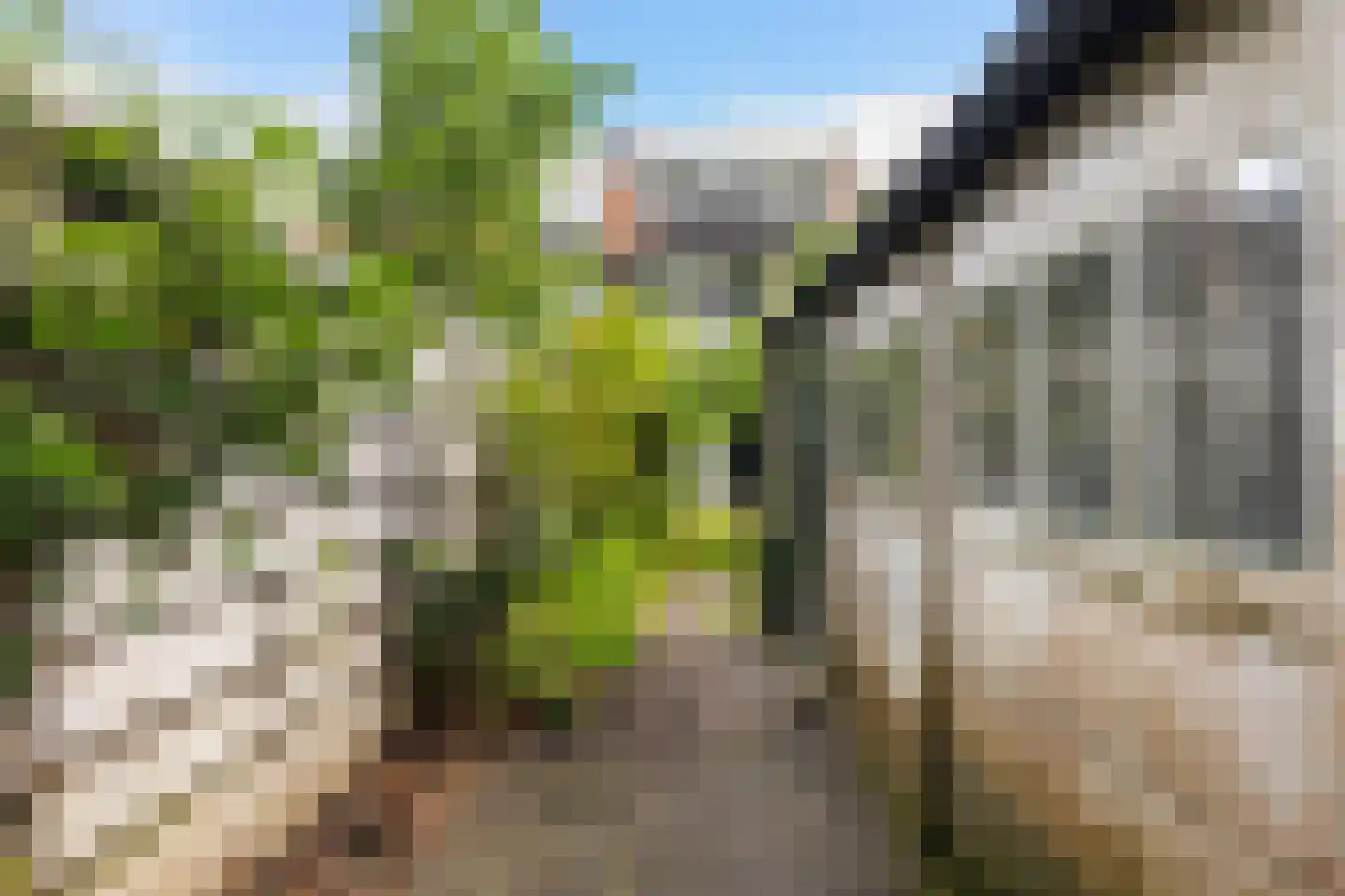 Roemer Visscherlaan 27 Zeist thumbnail 31