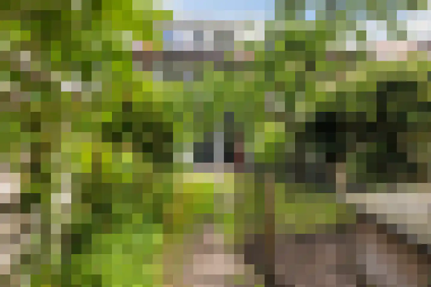 Roemer Visscherlaan 27 Zeist thumbnail 32