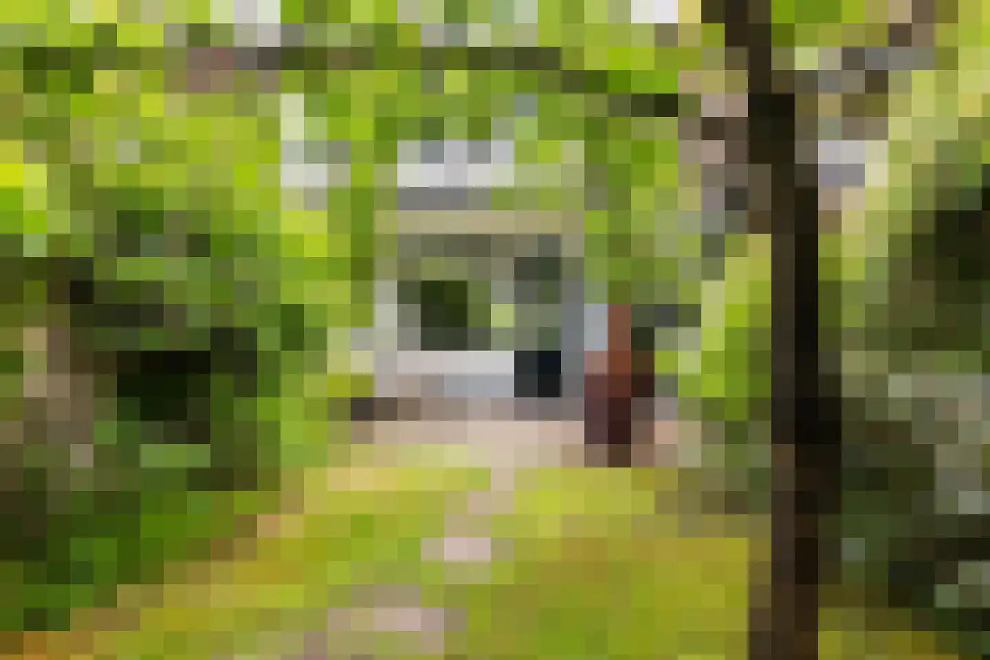 Roemer Visscherlaan 27 Zeist thumbnail 34