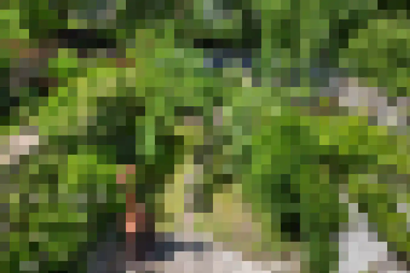 Roemer Visscherlaan 27 Zeist thumbnail 36