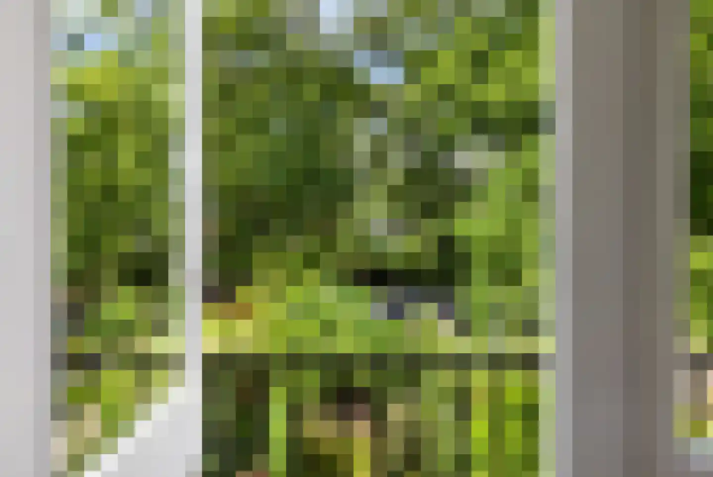 Roemer Visscherlaan 27 Zeist thumbnail 40