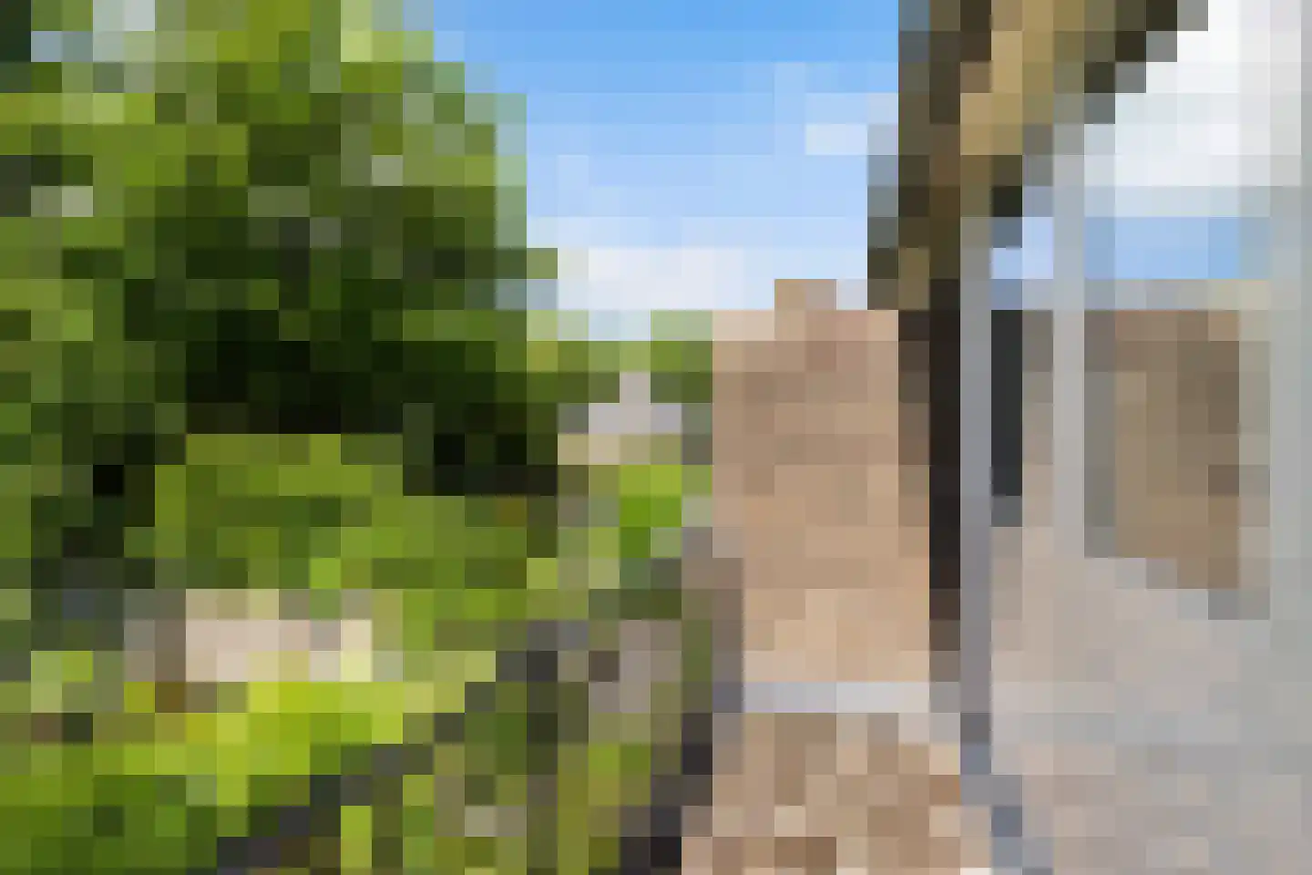 Roemer Visscherlaan 27 Zeist thumbnail 42