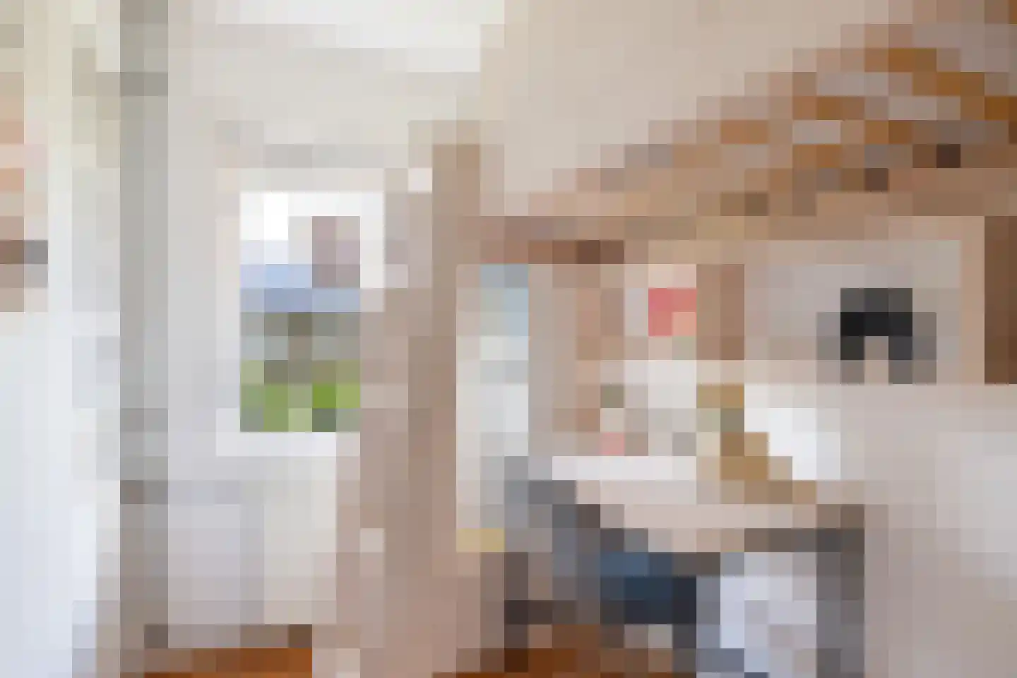 Roemer Visscherlaan 27 Zeist thumbnail 45