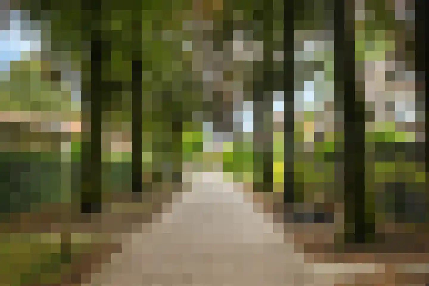Roemer Visscherlaan 27 Zeist thumbnail 62