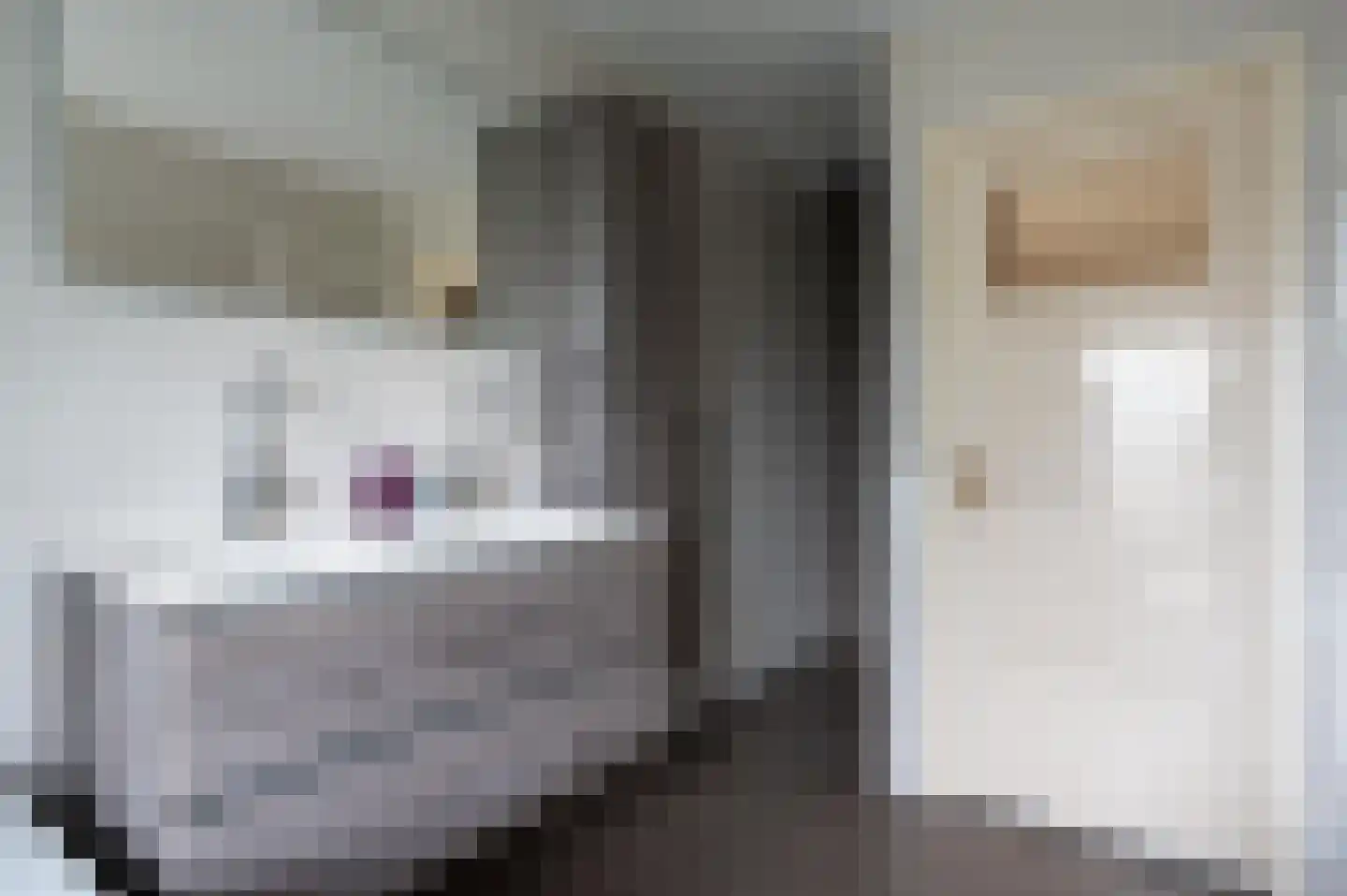 Roemer Visscherlaan 33 Zeist thumbnail 23