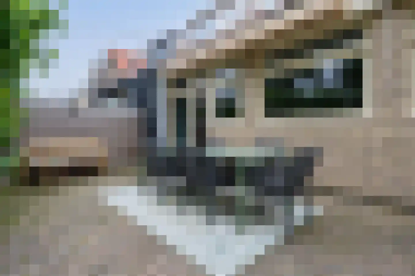 Roemer Visscherlaan 33 Zeist thumbnail 30
