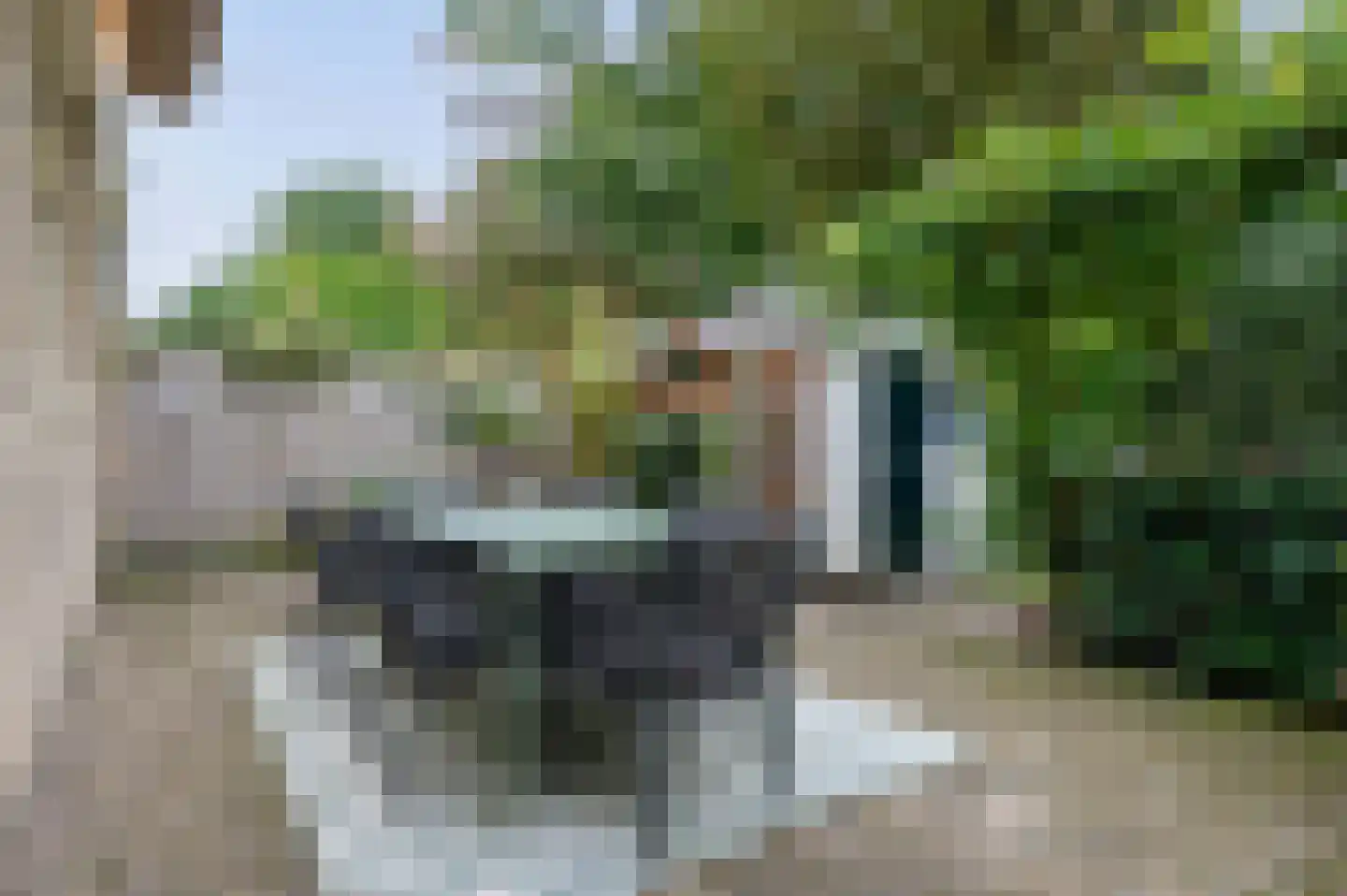 Roemer Visscherlaan 33 Zeist thumbnail 31