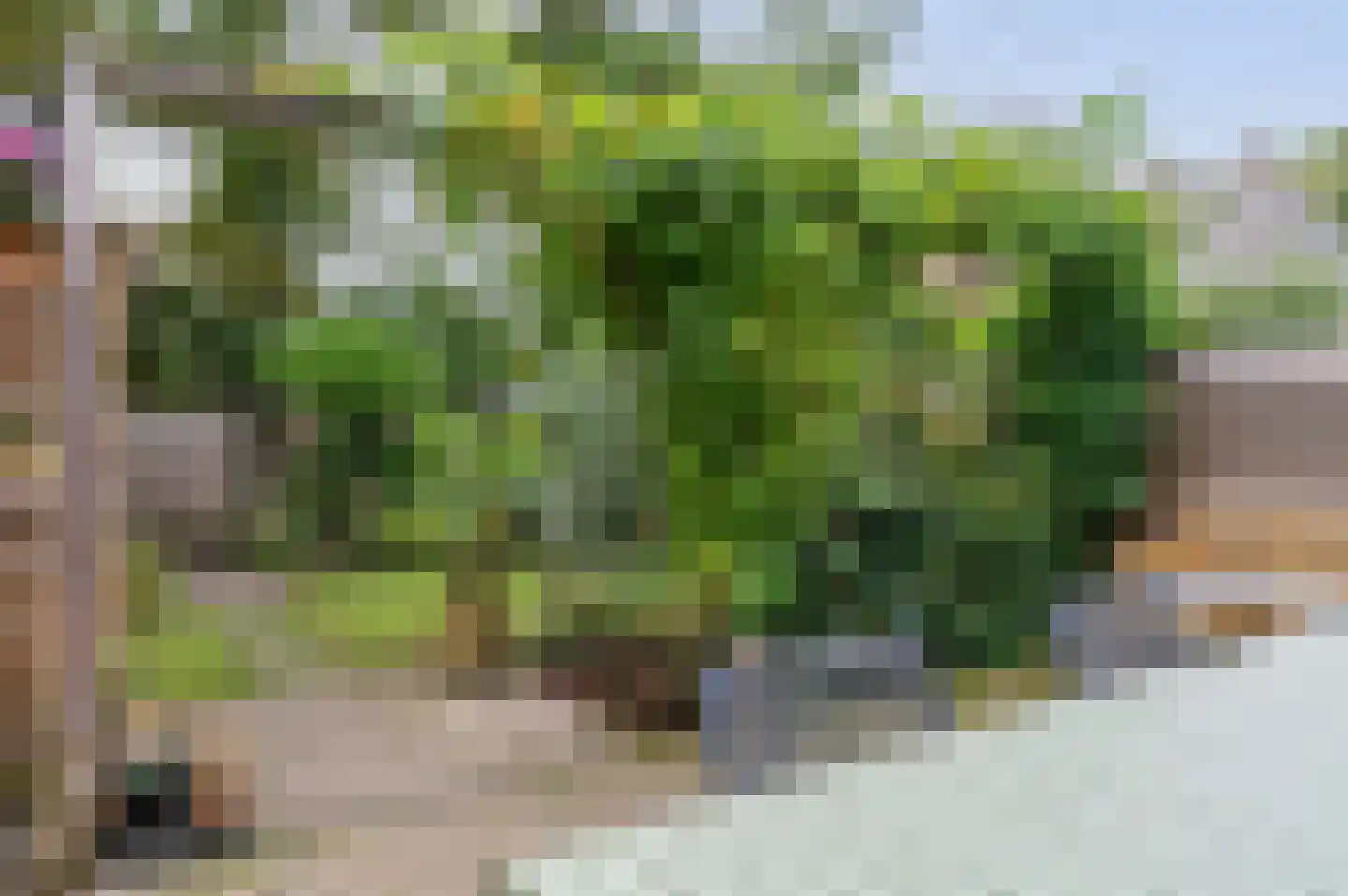 Roemer Visscherlaan 33 Zeist thumbnail 33