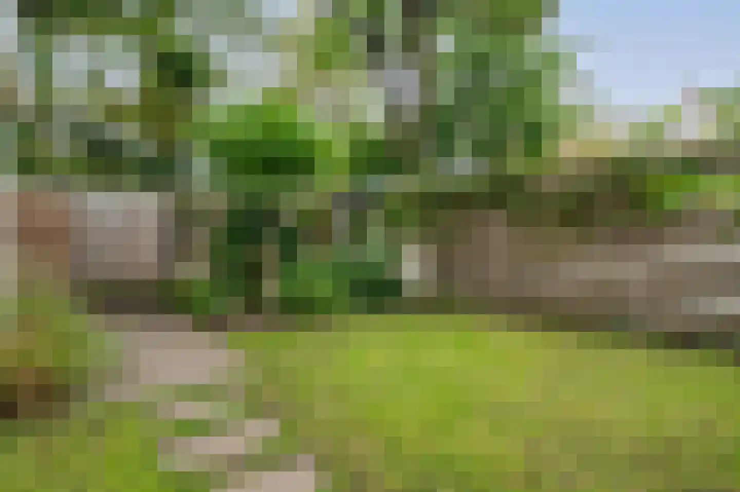 Roemer Visscherlaan 33 Zeist thumbnail 37