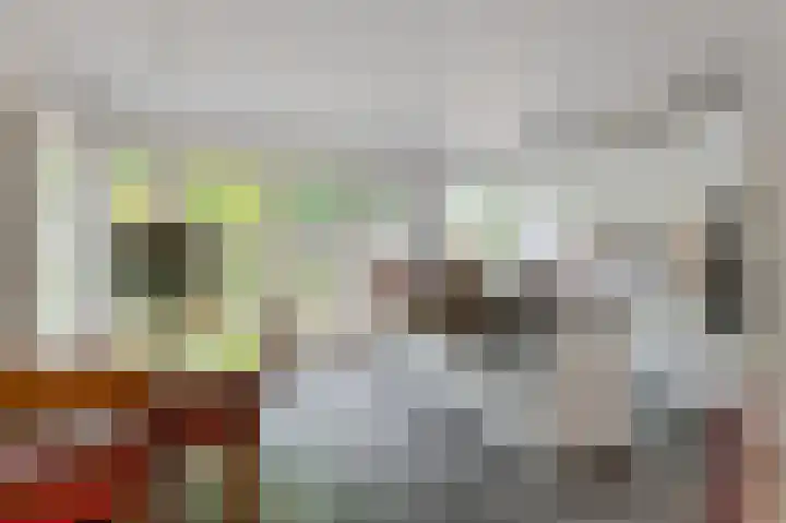 Roemer Visscherlaan 39 D Zeist thumbnail 11
