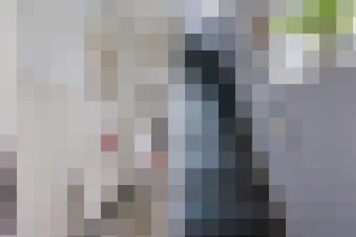 Roemer Visscherlaan 39 D Zeist thumbnail 16