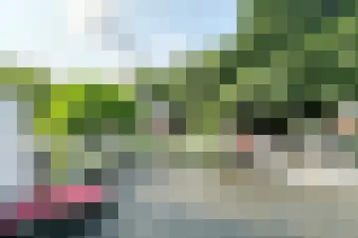 Roemer Visscherlaan 39 D Zeist thumbnail 17