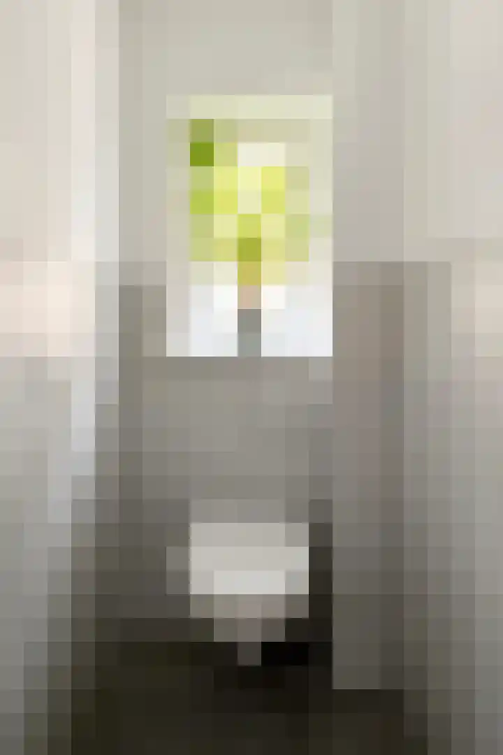 Roemer Visscherlaan 39 D Zeist thumbnail 18