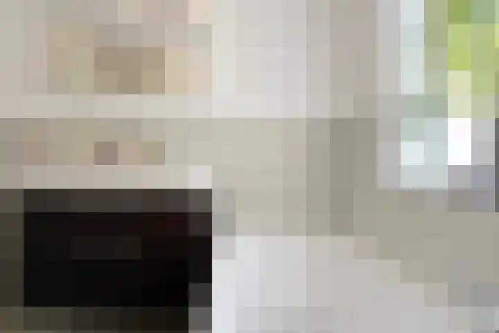 Roemer Visscherlaan 39 D Zeist thumbnail 24