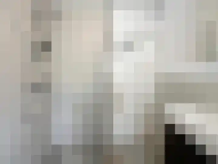 Roemer Visscherlaan 39 D Zeist thumbnail 25