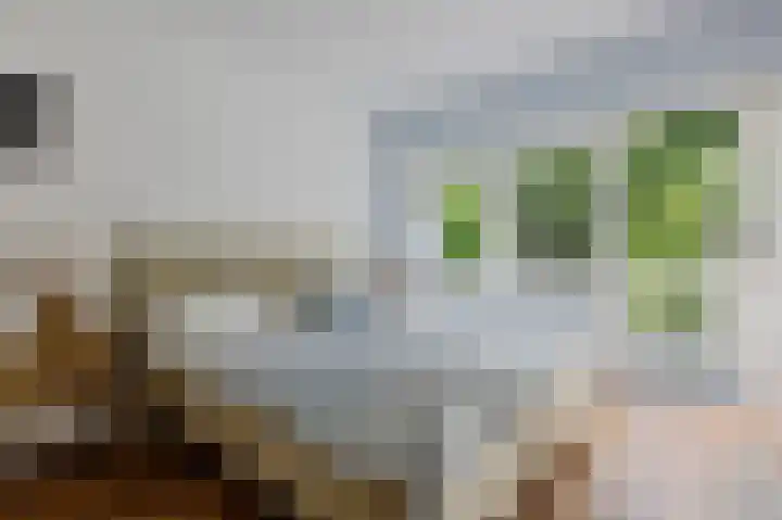 Roemer Visscherlaan 39 D Zeist thumbnail 26