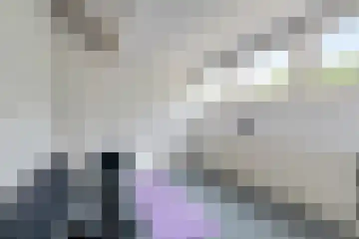 Roemer Visscherlaan 39 D Zeist thumbnail 30