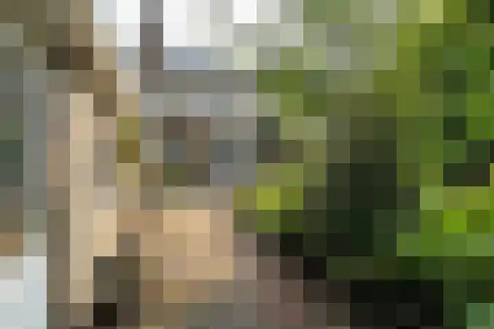 Roemer Visscherlaan 39 D Zeist thumbnail 32