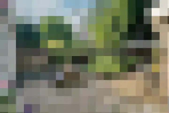 Roemer Visscherlaan 39 D Zeist thumbnail 33