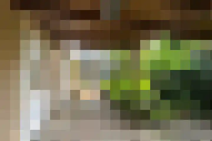 Roemer Visscherlaan 39 D Zeist thumbnail 34