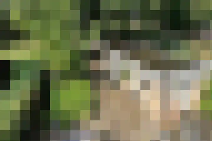 Roemer Visscherlaan 39 D Zeist thumbnail 35