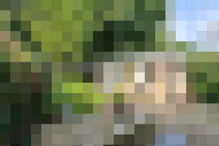 Roemer Visscherlaan 39 D Zeist thumbnail 36
