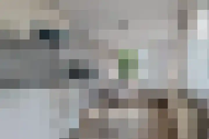 Roemer Visscherlaan 39 D Zeist thumbnail 37