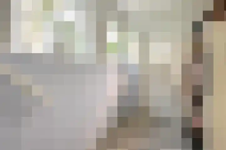 Roemer Visscherlaan 39 D Zeist thumbnail 4
