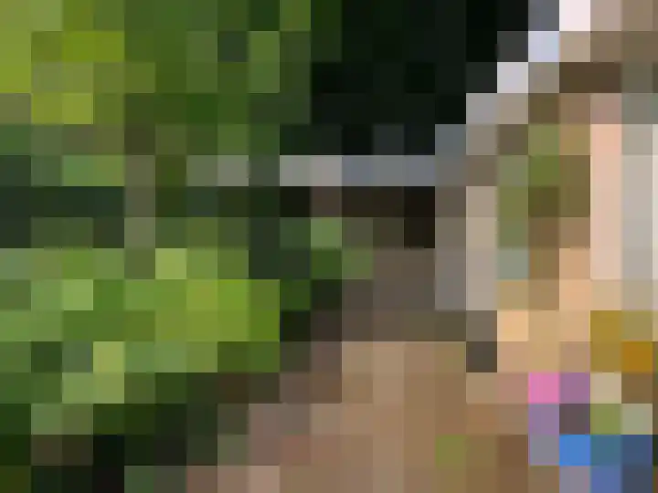 Roemer Visscherlaan 39 D Zeist thumbnail 40