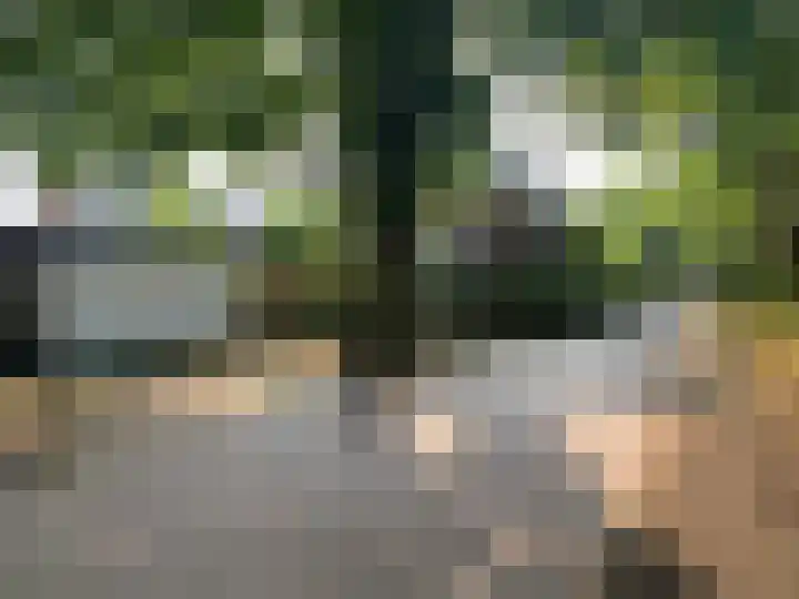Roemer Visscherlaan 39 D Zeist thumbnail 41