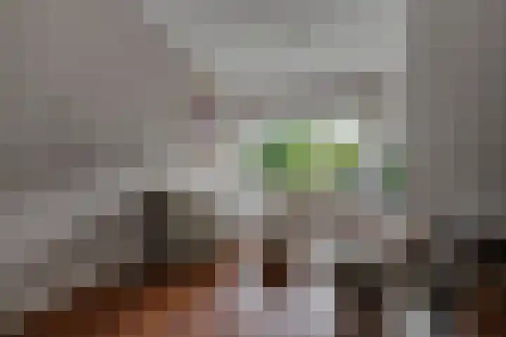 Roemer Visscherlaan 39 D Zeist thumbnail 6