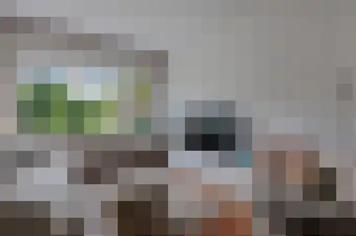 Roemer Visscherlaan 39 D Zeist thumbnail 7