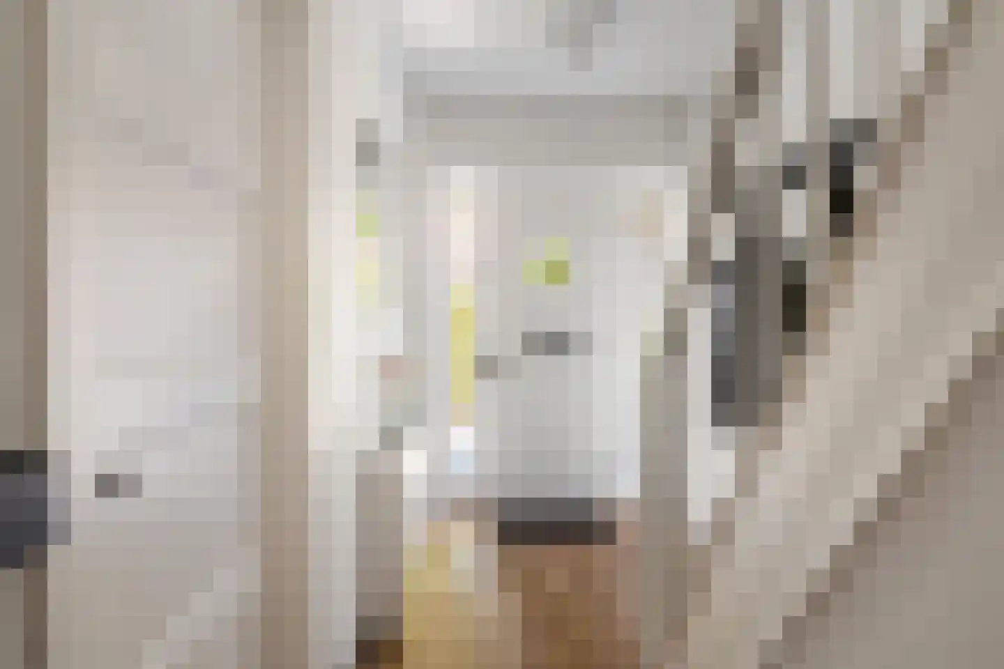 Roemer Visscherlaan 40 Zeist thumbnail 11