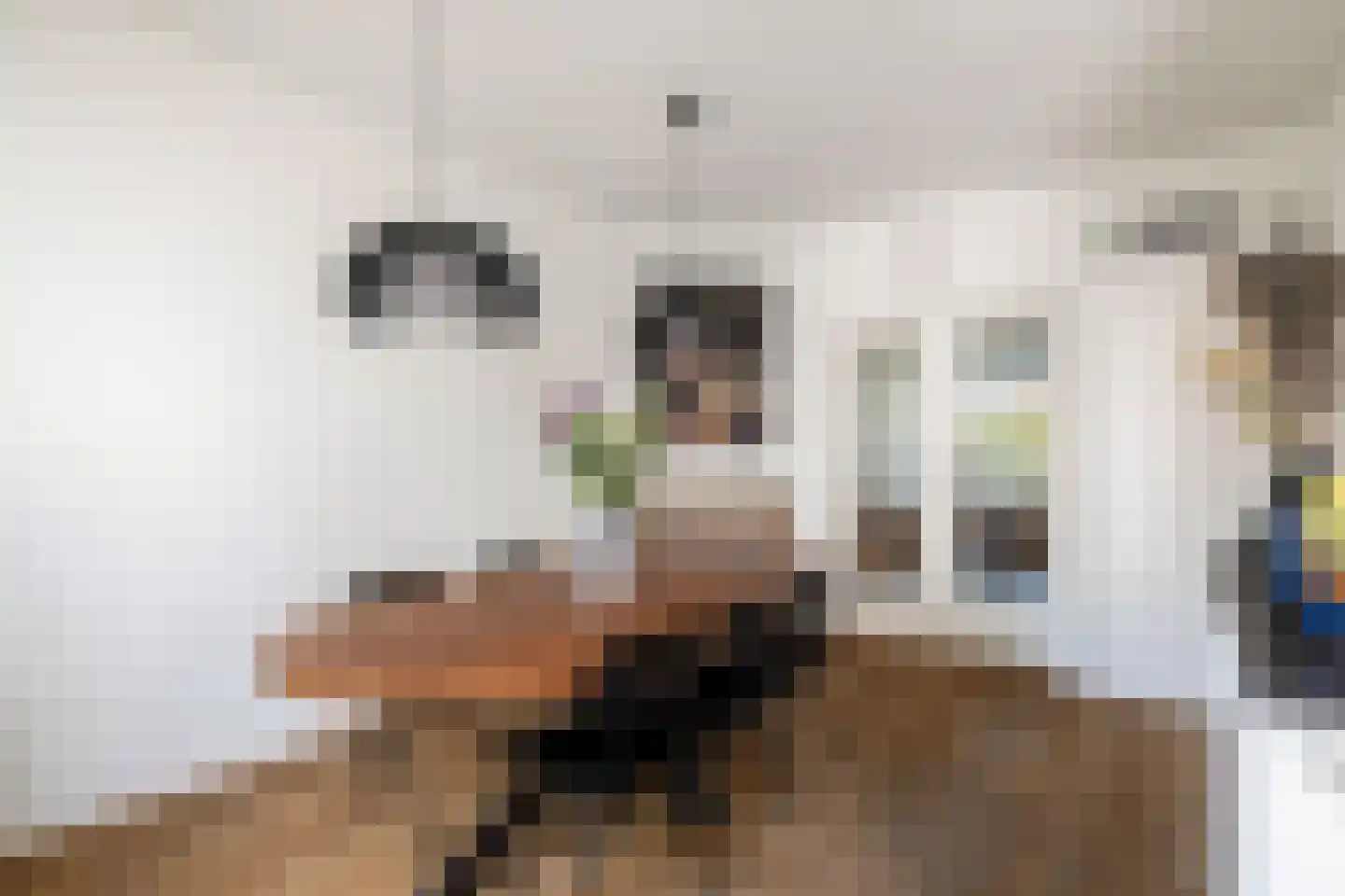 Roemer Visscherlaan 40 Zeist thumbnail 18