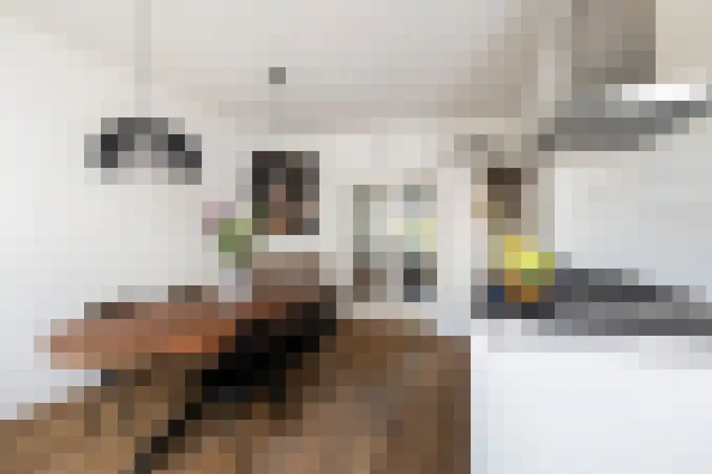 Roemer Visscherlaan 40 Zeist thumbnail 19