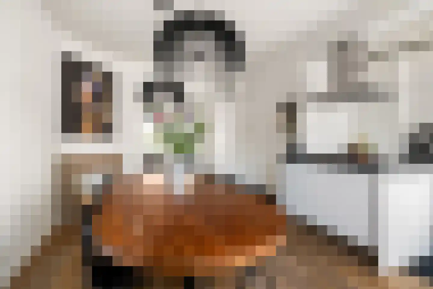 Roemer Visscherlaan 40 Zeist thumbnail 20