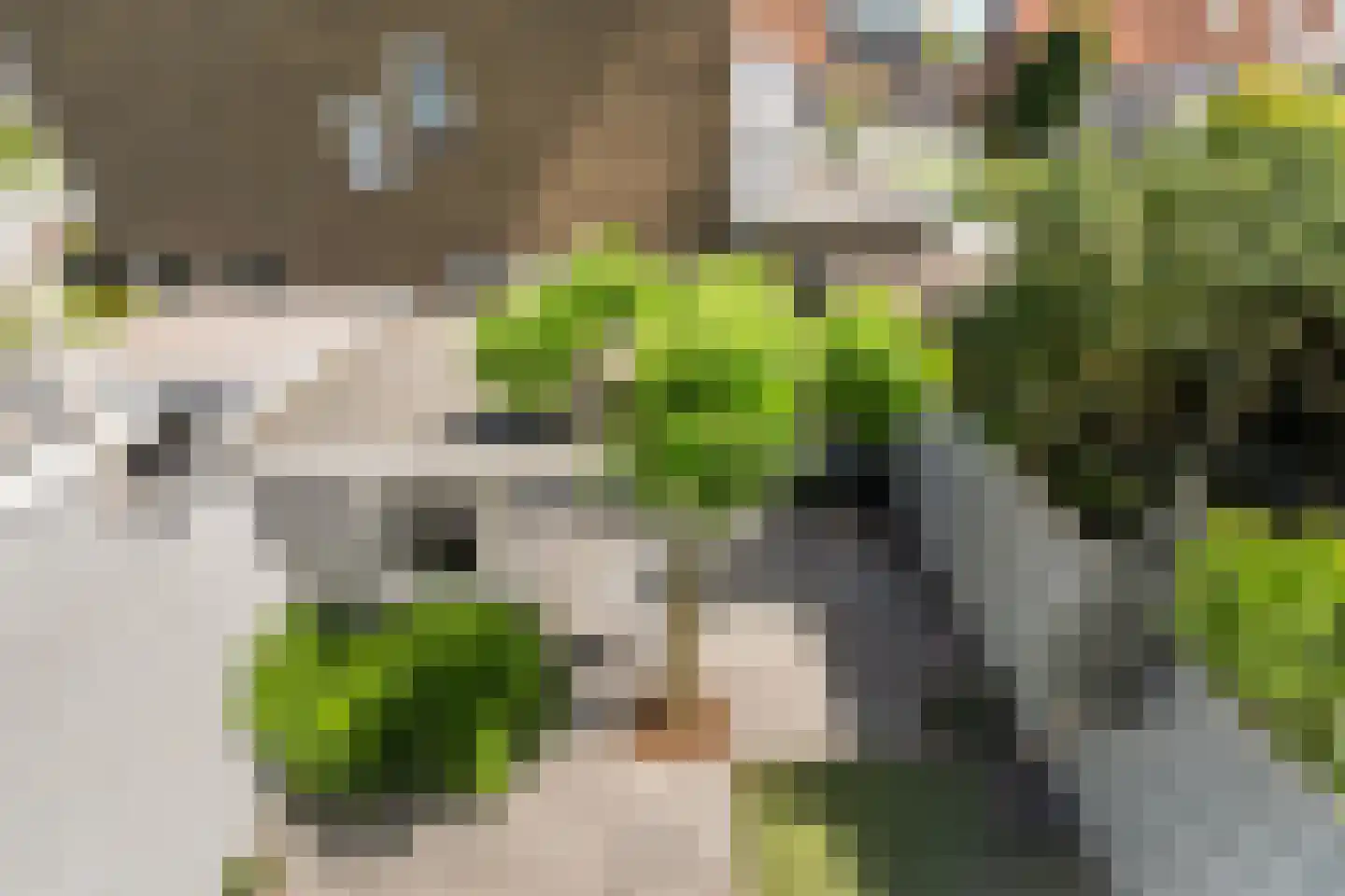 Roemer Visscherlaan 40 Zeist thumbnail 31