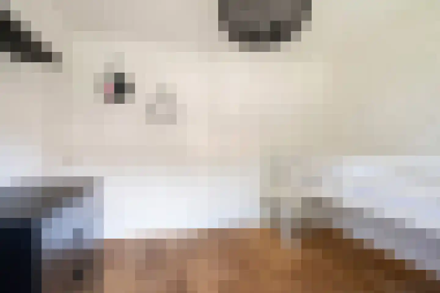 Roemer Visscherlaan 40 Zeist thumbnail 40