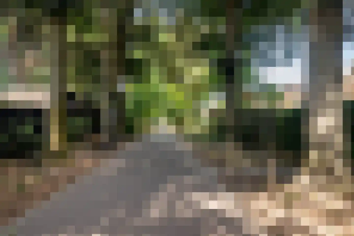 Roemer Visscherlaan 40 Zeist thumbnail 56