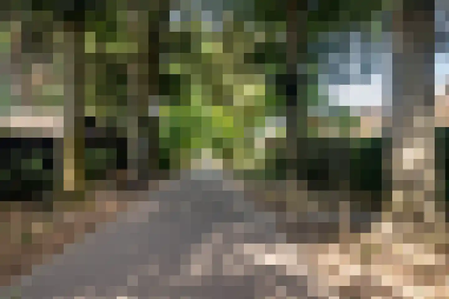 Roemer Visscherlaan 40 Zeist thumbnail 6