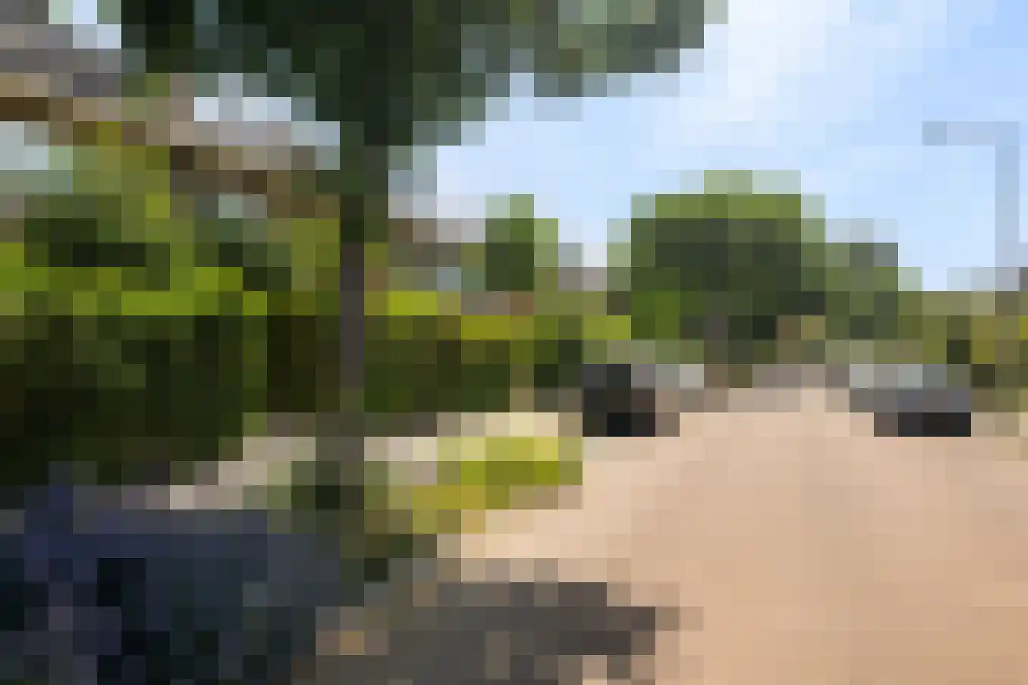 Roemer Visscherlaan 40 Zeist thumbnail 7