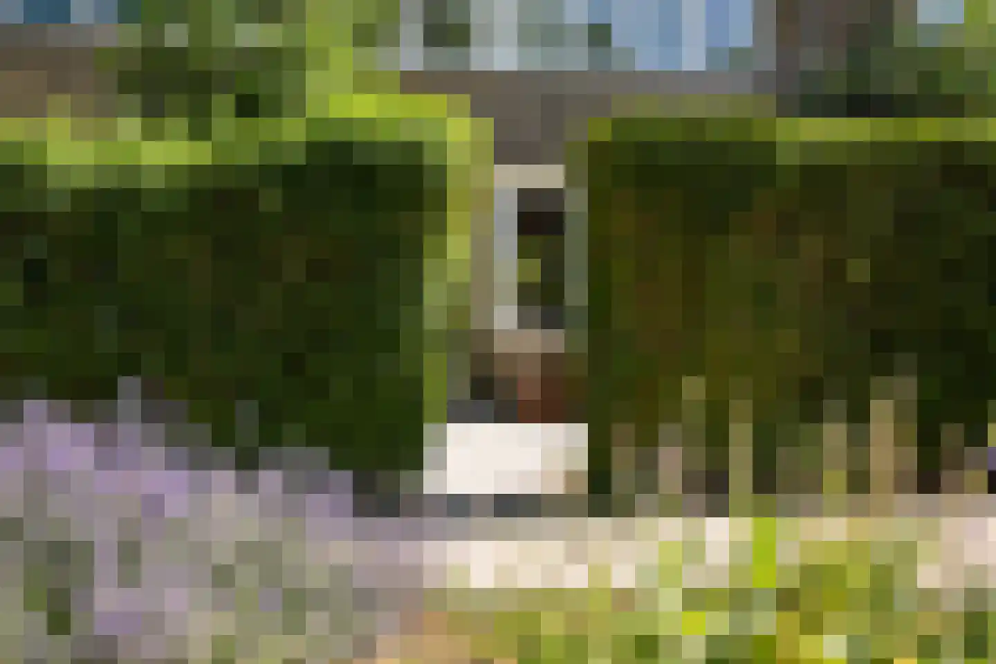 Roemer Visscherlaan 40 Zeist thumbnail 9