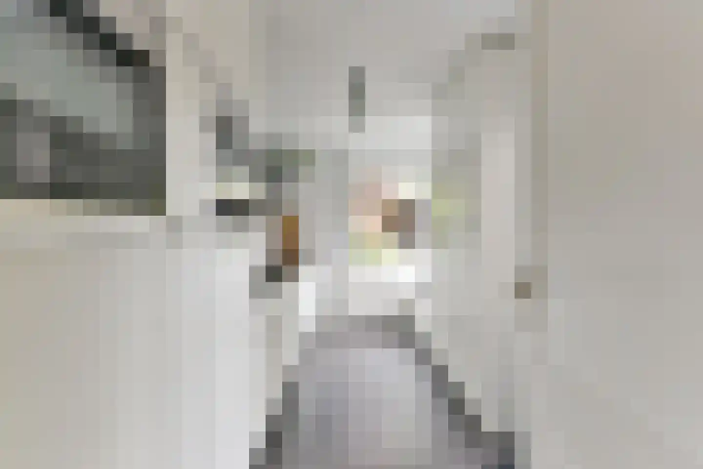 Roemer Visscherlaan 61 Zeist thumbnail 20