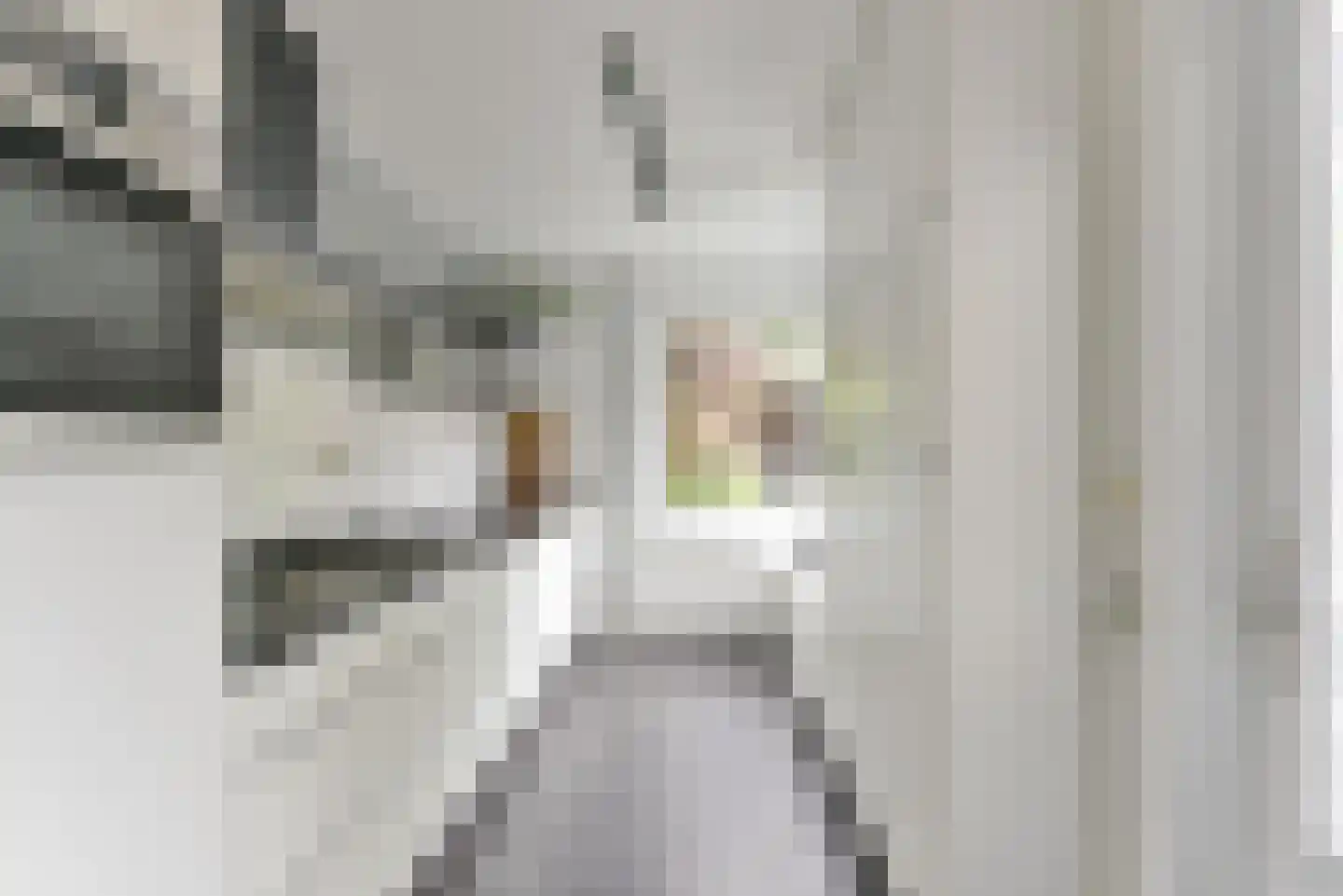 Roemer Visscherlaan 61 Zeist thumbnail 21
