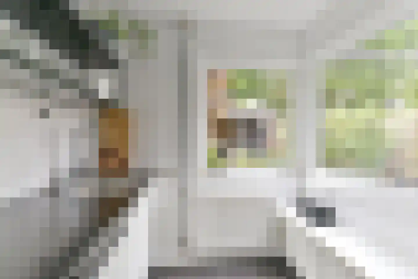 Roemer Visscherlaan 61 Zeist thumbnail 22