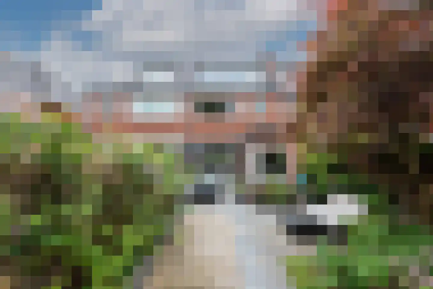 Roemer Visscherlaan 61 Zeist thumbnail 26