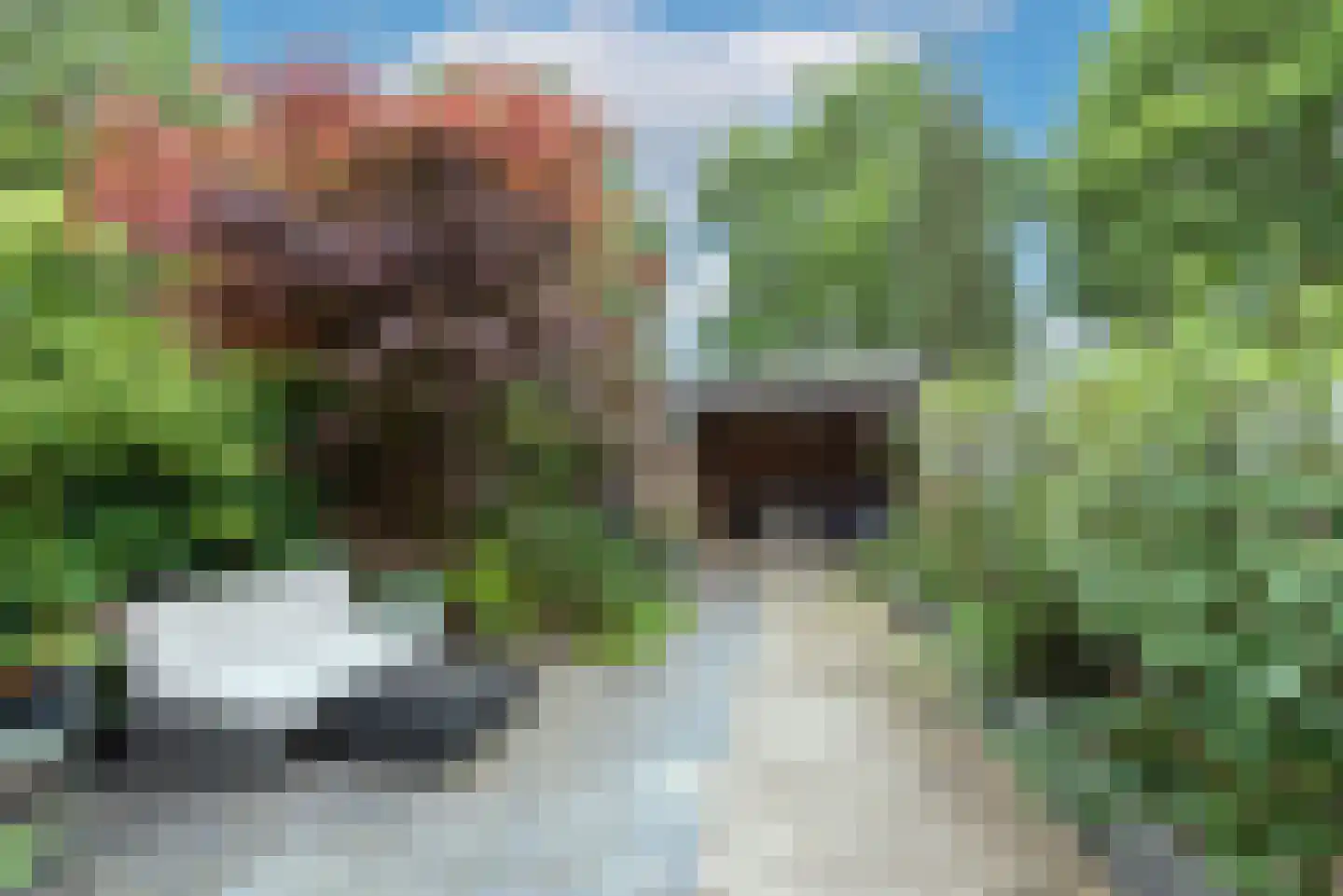 Roemer Visscherlaan 61 Zeist thumbnail 5