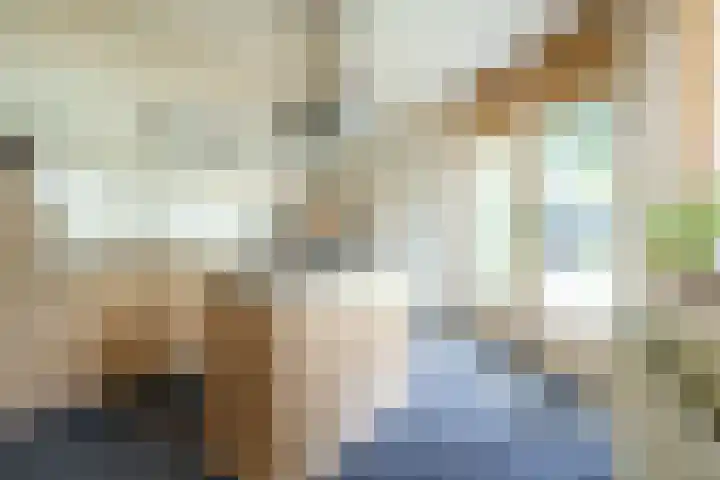 Roemer Visscherlaan 65 Zeist thumbnail 10